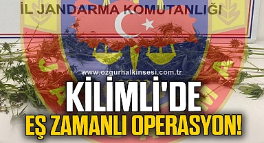 Kilimli'de eş zamanlı operasyon!