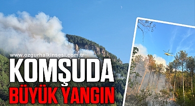 Komşuda orman yangını