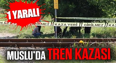 MUSLU’DA TREN KAZASI