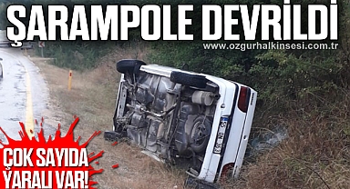 Otomobil şarampole devrildi
