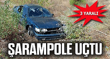 Şarampole uçtu: 3 yaralı