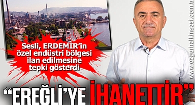 Sesli: “Ereğli’ye ihanettir”