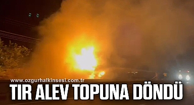 Seyir halindeki tır alev topuna döndü
