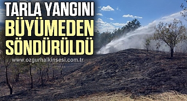 Tarla yangını büyümeden söndürüldü