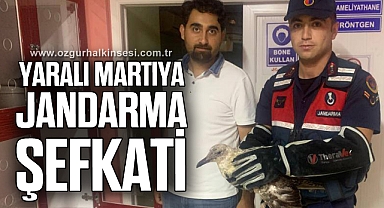 YARALIYA MARTIYA JANDARMA ŞEFKATİ