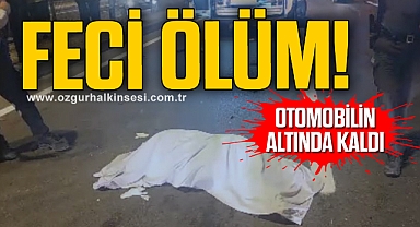 Yolun karşısına geçmek isterken hayatını kaybetti
