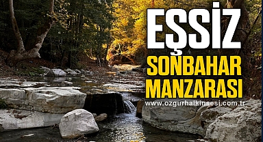 Zonguldak'ta eşsiz sonbahar manzarası