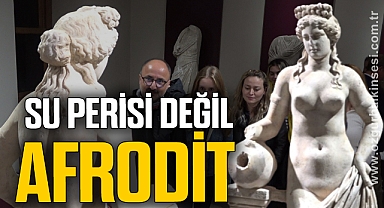 Afrodit heykeli olduğu ortaya çıktı