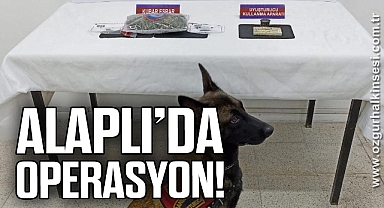 ALAPLI’DA OPERASYON!