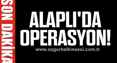 ALAPLI'DA OPERASYON!