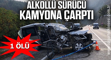 Alkollü sürücü park halindeki kamyona çarptı: 1 ölü