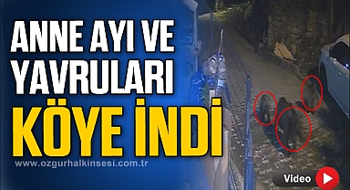 ANNE AYI VE YAVRULARI KÖYE İNDİ