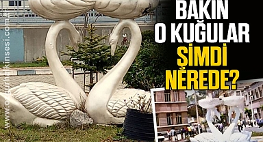 BAKIN O KUĞULAR ŞİMDİ NEREDE?
