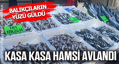 Balıkçıların yüzü güldü, kasa kasa hamsi avlandı