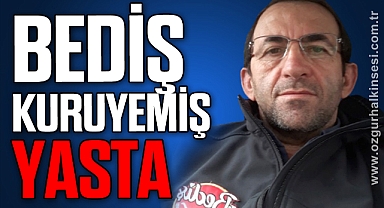 BEDİŞ KURUYEMİŞ YASTA 