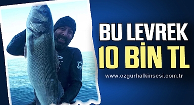 BU LEVREK 10 BİN TL