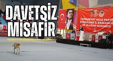 Davetsiz Misafir..