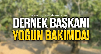  Dernek başkanı incir ağacından düştü