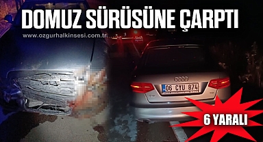 Domuz sürüsüne çarpan otomobildeki 6 kişi yaralandı