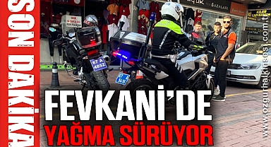 Fevkani'de yağma sürüyor