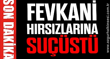 FEVKANİ HIRSIZLARINA SUÇÜSTÜ