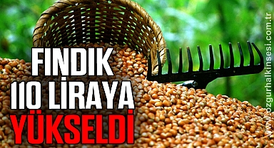 FINDIK 110 LİRAYA YÜKSELDİ