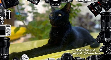 GÜNÜN FOTOĞRAFI