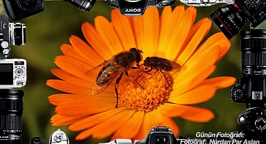 GÜNÜN FOTOĞRAFI