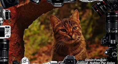 GÜNÜN FOTOĞRAFI