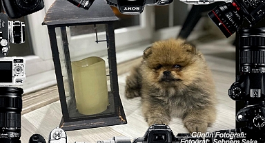 GÜNÜN FOTOĞRAFI
