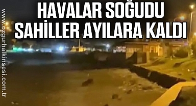 Havalar soğudu,sahiller ayılara kaldı