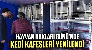 HAYVAN HAKLARI GÜNÜ’NDE KEDİ KAFESLERİ YENİLENDİ