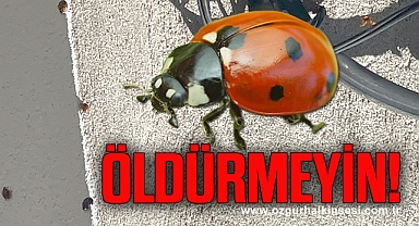 İlçe Tarım Müdüründen açıklama