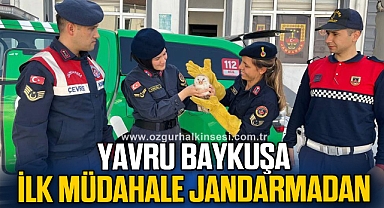 İlk müdahaleyi jandarma yaptı