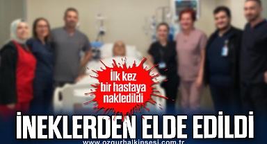 İneklerden elde edilen aort kapağı ilk kez bir hastaya nakledildi