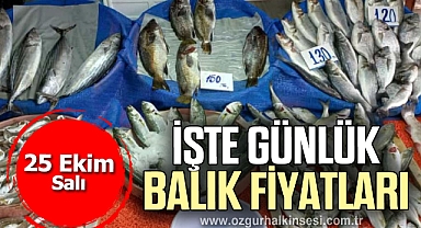 İŞTE GÜNLÜK BALIK FİYATLARI