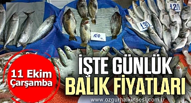 İŞTE GÜNLÜK BALIK FİYATLARI