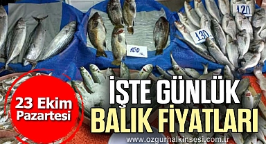 İŞTE GÜNLÜK BALIK FİYATLARI