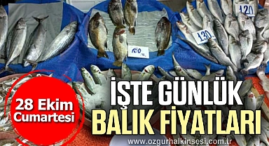 İŞTE GÜNLÜK BALIK FİYATLARI