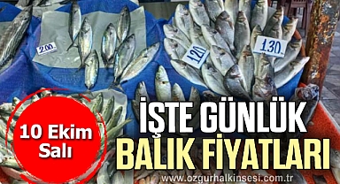 İŞTE GÜNLÜK BALIK FİYATLARI