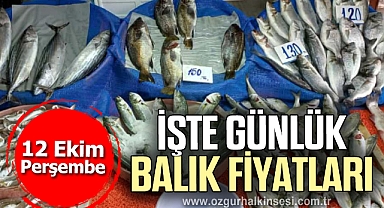 İŞTE GÜNLÜK BALIK FİYATLARI