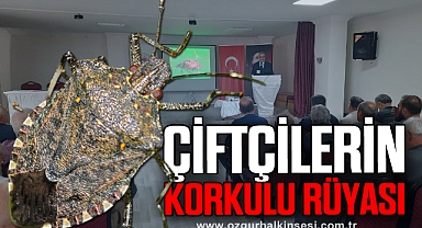 Kahverengi kokarca için toplandılar