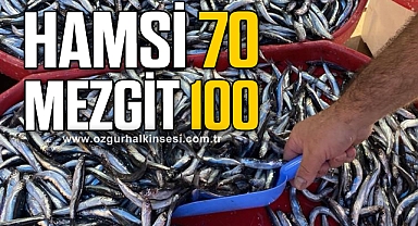 Karadeniz hamsisi tezgahları süslüyor