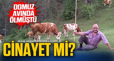 Kaza mı? Cinayet mi?