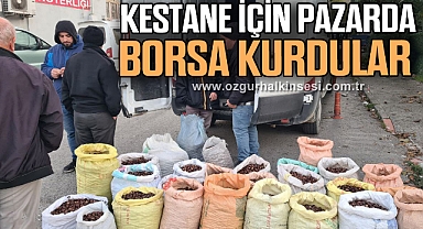 Kestane için pazarda borsa kurdular