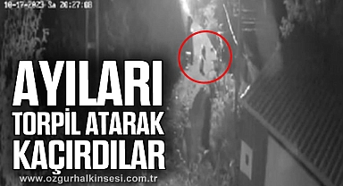 Köy merkezine inen ayıları torpil atarak kaçırdılar