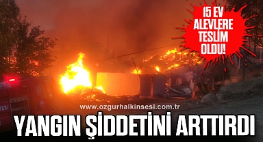 Köyde çıkan yangın şiddetini arttırdı