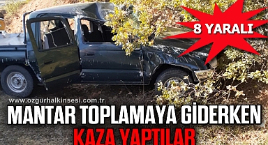 Mantar toplayana giderken kaza yaptılar: 8 yaralı