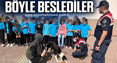 Miniklere hayvan sevgisi aşıladılar
