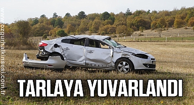 Otomobil, tarlaya yuvarlandı